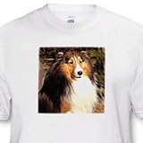 Sable Border Collie - Toddler T-Shirt (4T)