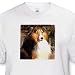 Sable Border Collie - Toddler T-Shirt (4T)