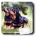 rottweiler1  - Dogs Rottweiler Rottweiler Mouse Pads