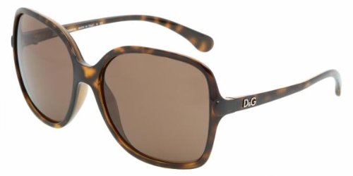 Sunglasses D&G DD8082 502/73 HAVANA BROWN