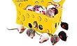 20 x Cat Toy Realistic Fur Mice