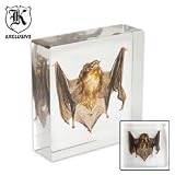 Bat Clear Lucite Paperweight