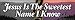 Jesus Is The Sweetest Name I Know Bumper Strip Magnet