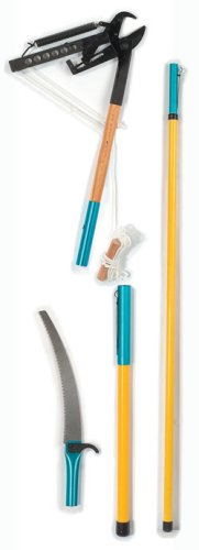 201 Maxi Pole Pruning System