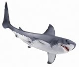 Great White Shark