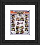 Framed 2008 Team Composite Detroit Tigers Photograph
