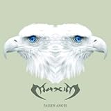 Fallen Angel