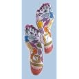 Basic Knead Reflexology Sox