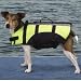Guardian Gear Life Jacket (Medium)