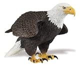 Incredible Creatures Safari LTD Bald Eagle 31C4XcqDCKL. SL160 Incredible Creatures Safari LTD Bald Eagle