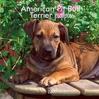 Buy Pit Bull Terrier Am Puppies Mini – 2008 Calendar – Breeds – Pit Bull Terrier