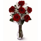Roses- Six Red Roses