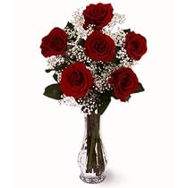 Roses- Six Red Roses