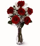 Roses- Six Red Roses