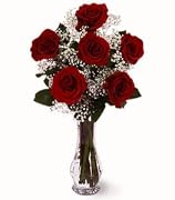 Floral Roses- Six Red Roses