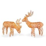 Assorted Gold Rattan Reindeer with Clear Lights