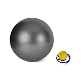 Valor Fitness EJ-6 Anti-Burst Gym Exercise Ball with Pump
