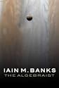 The Algebraist