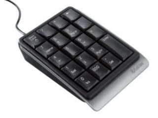 Childrens Toyshop  Electronics : Labtec USB Number Pad for Notebooks