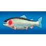 Fake Fish