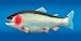 Fake Fish
