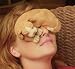 Personal Health Care : Warm Whiskers Eye Pillow, Dog