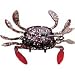 Wildeye Live Swim Crab Rock Crab