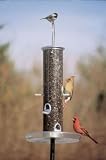 Aspects Big Tube Wild Bird Feeder