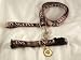 Ohio State Buckeyes Pet Accessories Set - Small (6' Leash, Collar, and ID Tag)
