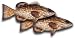 Black Grouper Fillet, 1 Pound