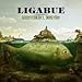 Ligabue-Arrivederci Mostro !