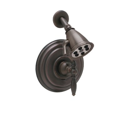 Huntington Platinum Antique Bronze Showerhead Set
