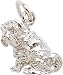 Jewelry : Shar-Pei Charm by Rembrandt Charms