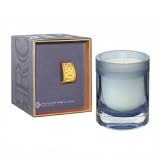 Molton Brown Inspiring Wild Indigo Air Candela