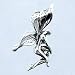 Small and Dainty Fairy Pendant in Sterling Silver, #11430