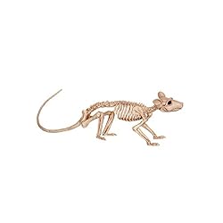 rat skeleton halloween 