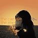 Music : Fragments