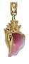 14k Yellow Gold Enamel Conch Charm