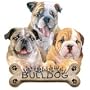 Bulldog Puppies Adult T-Shirt