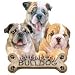 Bulldog Puppies Adult T-Shirt