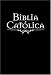 Book Catholic Large Print Bible-VP