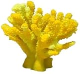 BRANCH CORAL SMALL YELLOW