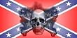 LP-2406 Confederate Skull License Plates Tags