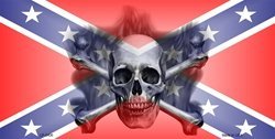 LP-2406 Confederate Skull License Plates Tags