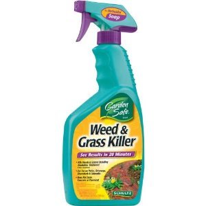 Amazon.com : Garden Safe Weed & Grass Killer Soap Natural 24 Oz : Patio