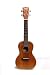 Kala Koa Concert Ukulele