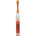 Singing Brush Buddies Ylvis What Does The Fox Say Musical Electric Toothbrush