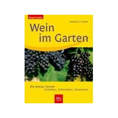 Wein im Garten. Die besten Sorten. Erziehen, Schneiden, Verwerten