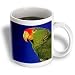 Birds - Green Cheeked Amazon Parrot - Mugs