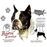 Boston Terrier Adult Long Sleeve T-Shirt